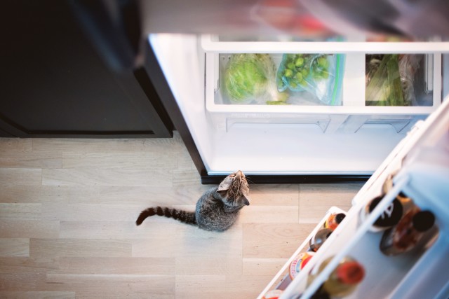 Refrigerator-Repair--refrigerator-repair.jpg-image